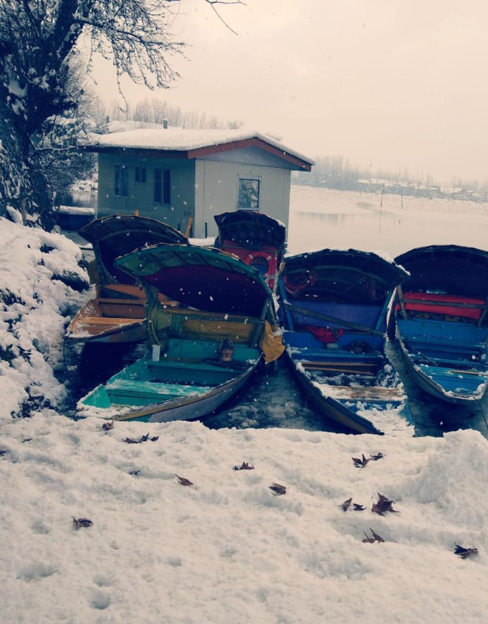 Kings Houseboats Otel Srīnagar Dış mekan fotoğraf